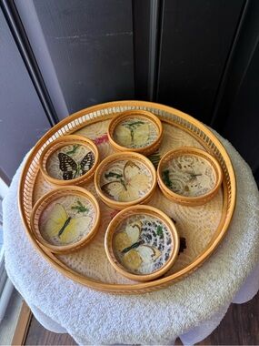 Vtg Pressed Butterfly Flower Bamboo Glass Lace Tray & Coaster Set of 7
